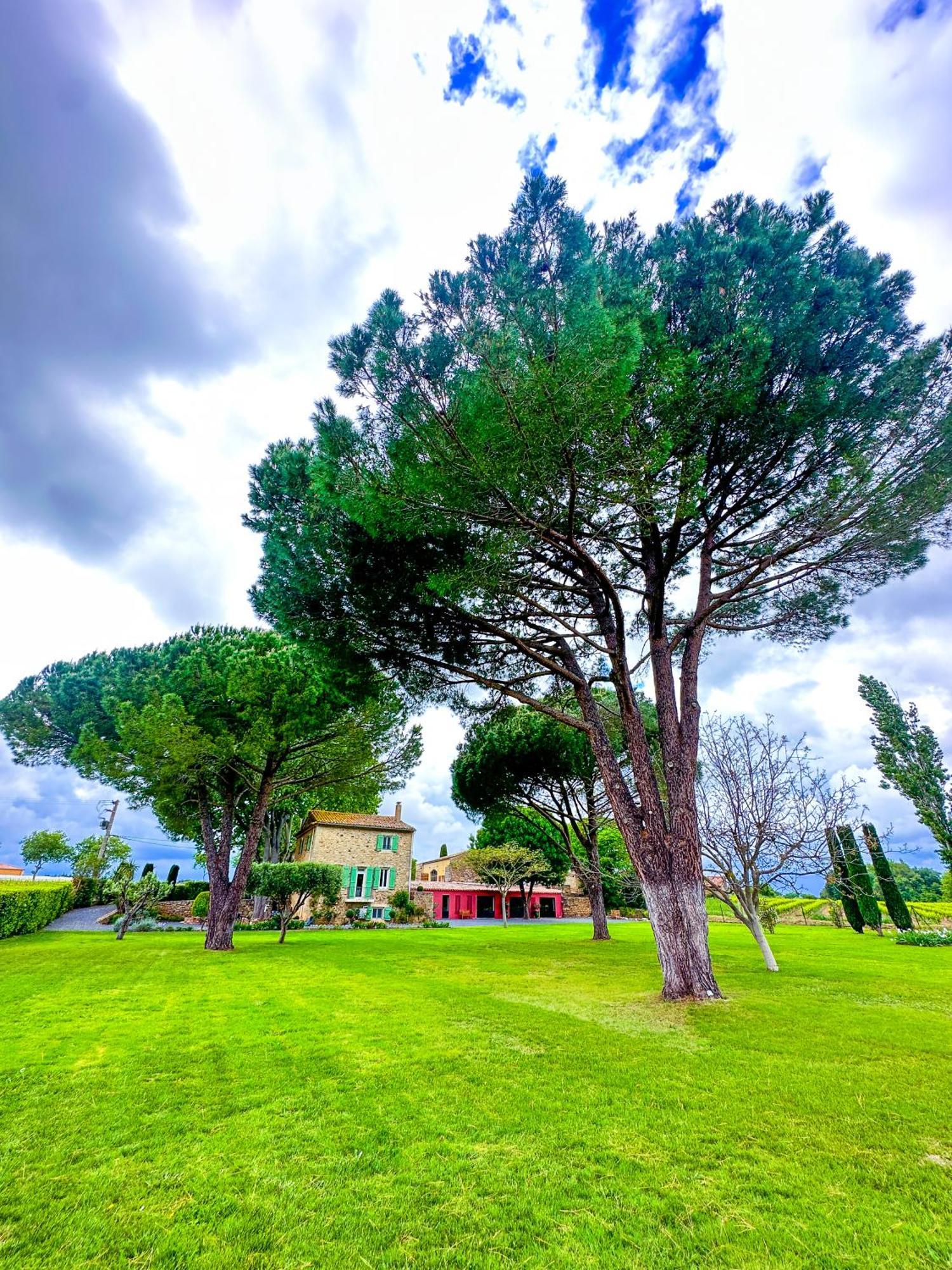 Domaine La Mouline Pézenas Exterior foto