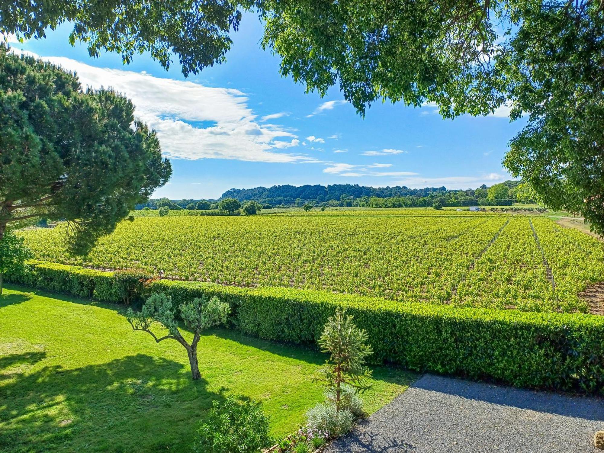 Domaine La Mouline Pézenas Exterior foto